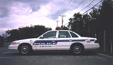 Lvis Police (31502 Byte)